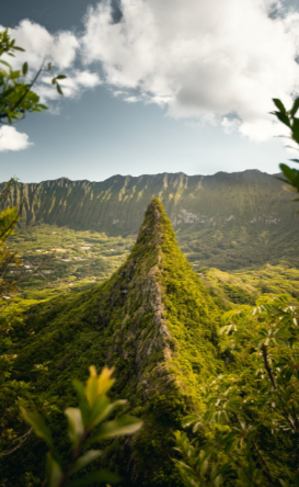 A sharp green ridgeline rising into low cloud